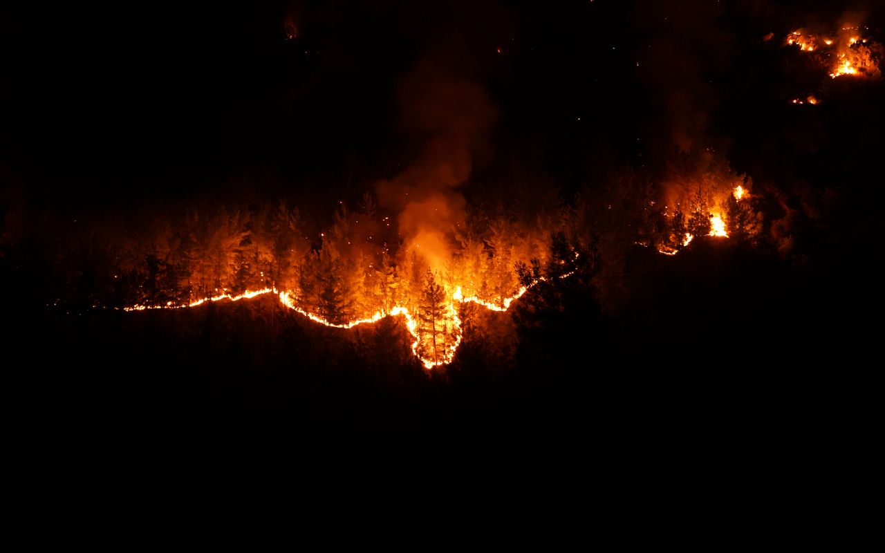 An intense nighttime forest wildfire burning through trees